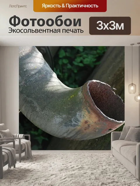 Фотообои Потерянное место