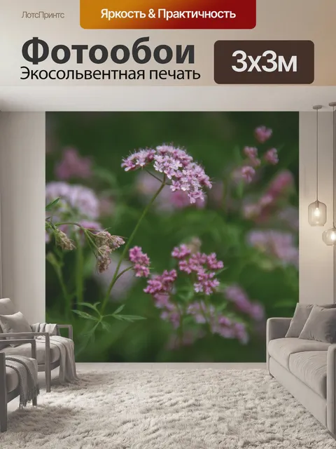 Фотообои Маленькие фиолетовые цветы в поле