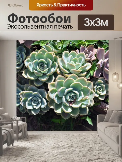 Фотообои Сад