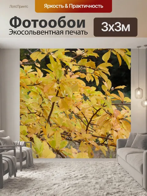 Фотообои Аутум в ботаническом саду