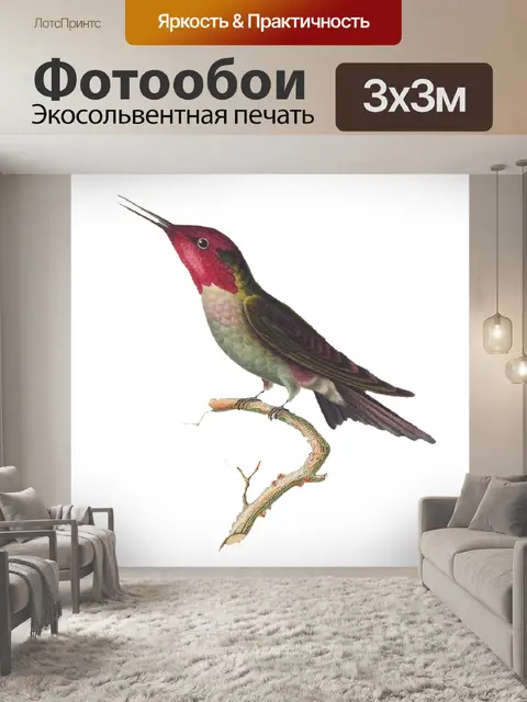 Фотообои Птица