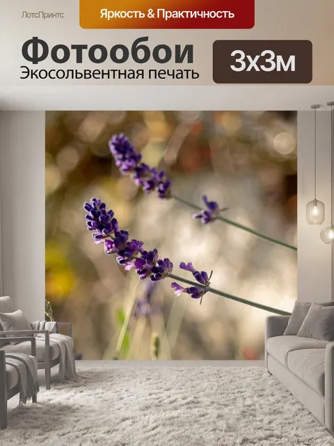 Фотообои Лаванда