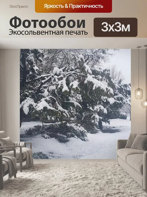 Фотообои Снег