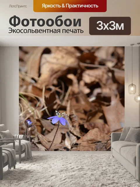 Фотообои Цветок