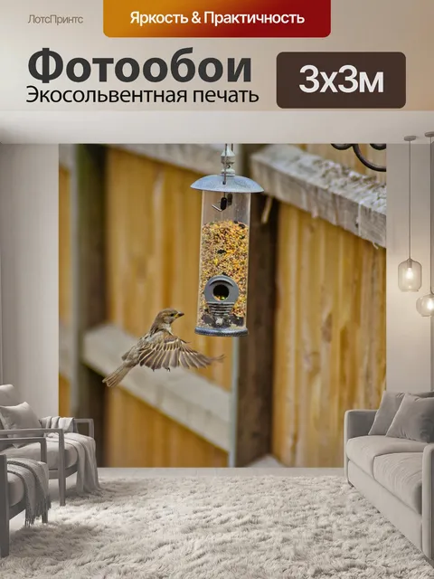 Фотообои Птица