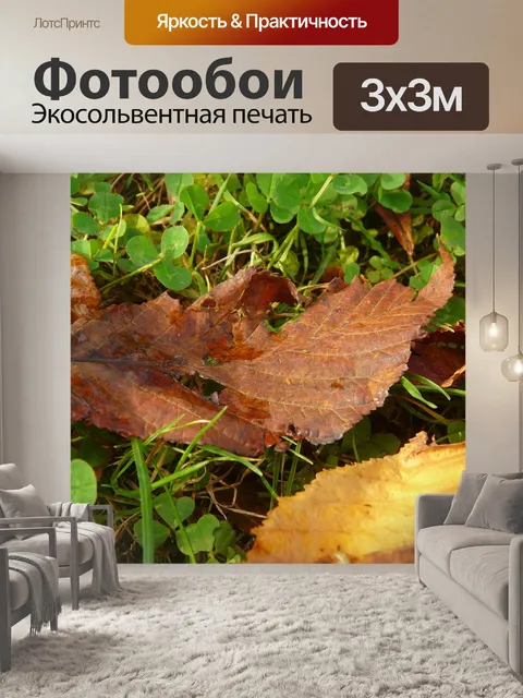Фотообои Лист