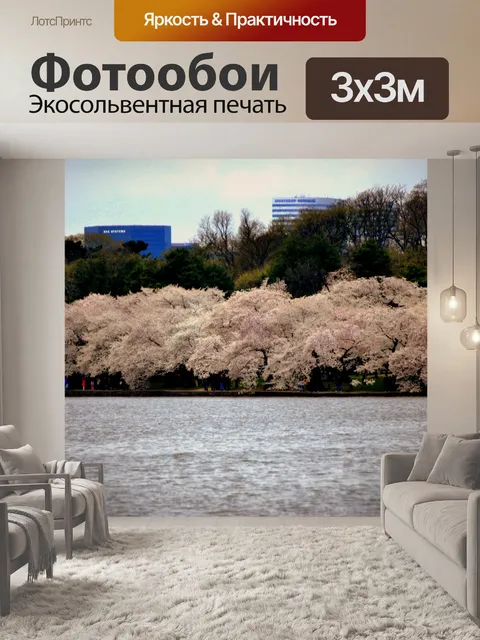 Фотообои Цветет вишня