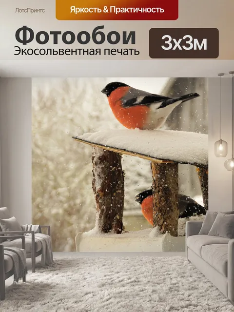 Фотообои Снегирь