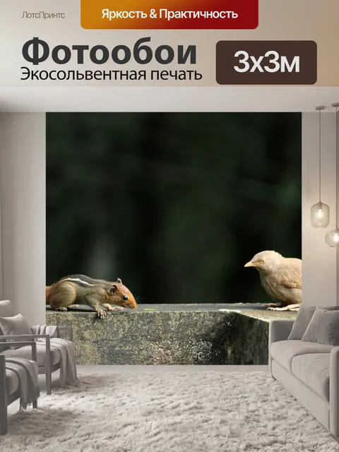 Фотообои Птицы