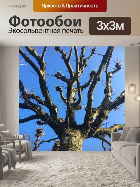 Фотообои Дерево