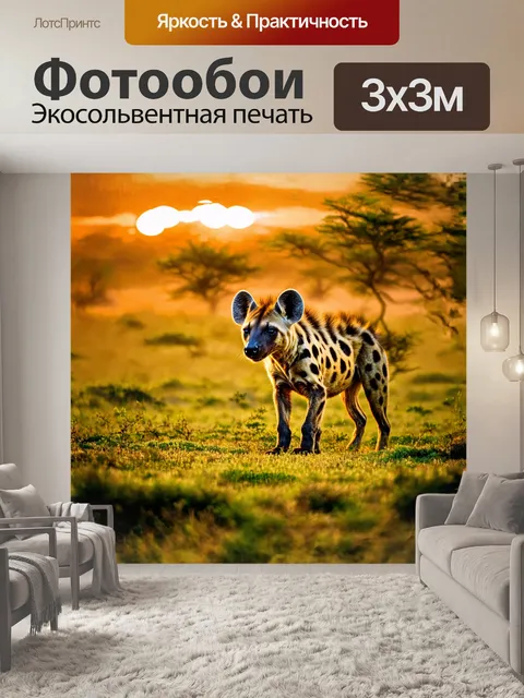 Фотообои пятнистая гиена, грациозно пробирающаяся через зелёные просторы африканской саванны, на фоне яркого заката