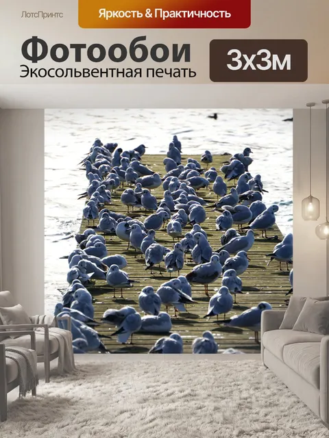 Фотообои Чайки