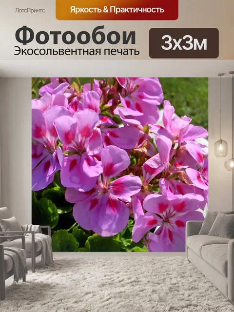 Фотообои Цветы моего сада - 63