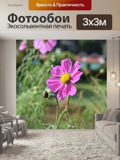 Фотообои Цветок