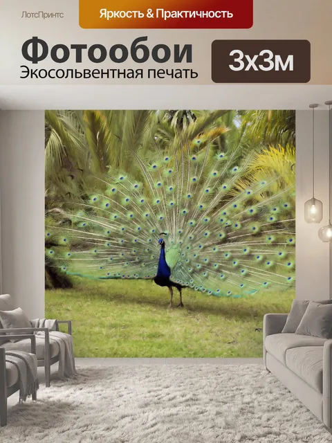 Фотообои Птица