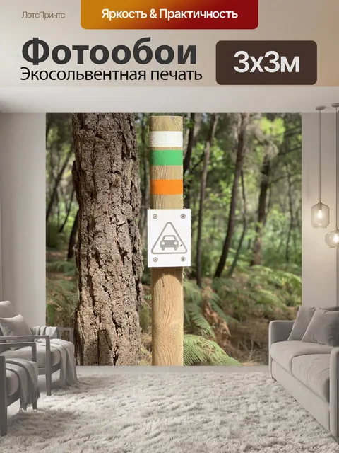Фотообои Автомобиль