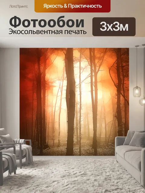 Фотообои Лес 35