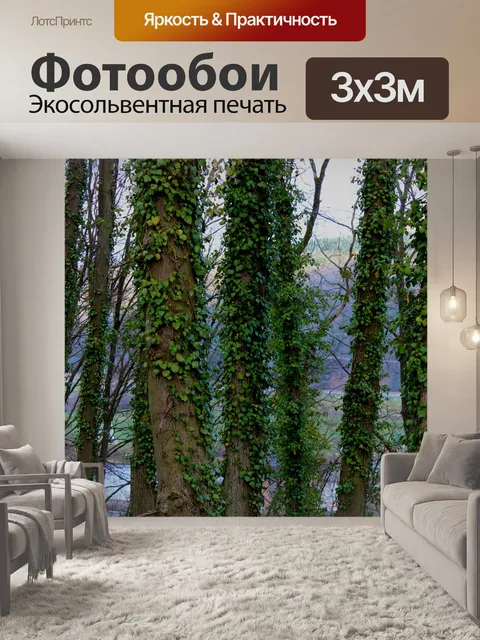 Фотообои Лес