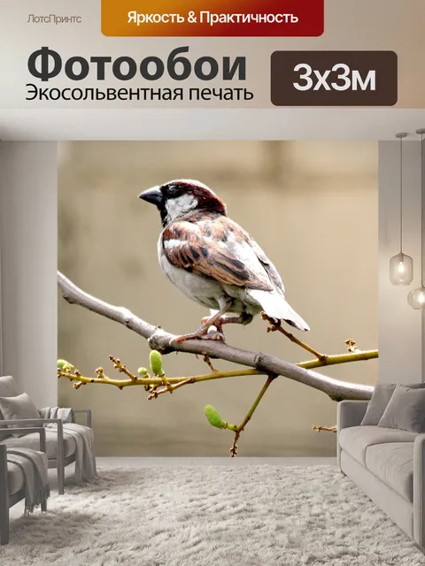 Фотообои Дикая природа
