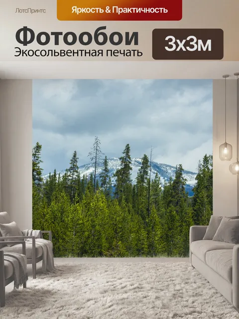 Фотообои Снежные горы за лесом