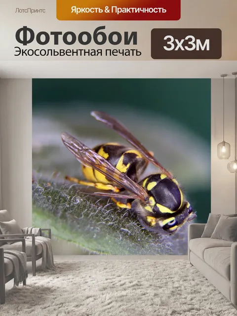 Фотообои Цветок