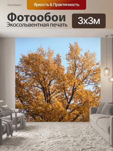 Фотообои Природные