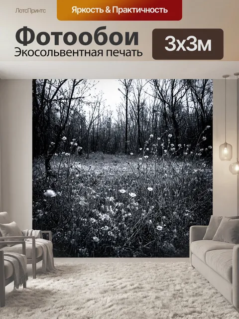 Фотообои черно-белый: заброшенные поляны, где росли цветы, остались только стебли, ловящие ветер