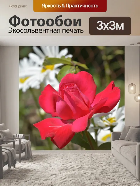 Фотообои Цветы