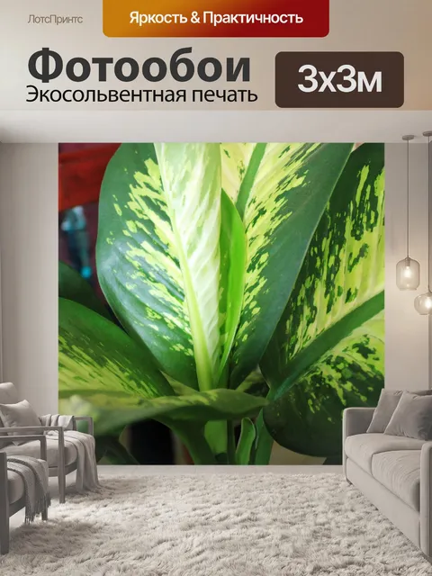 Фотообои Фон Листья