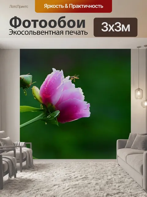 Фотообои Цветок