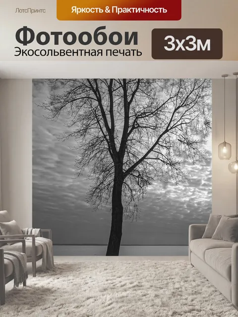 Фотообои Черно-белый