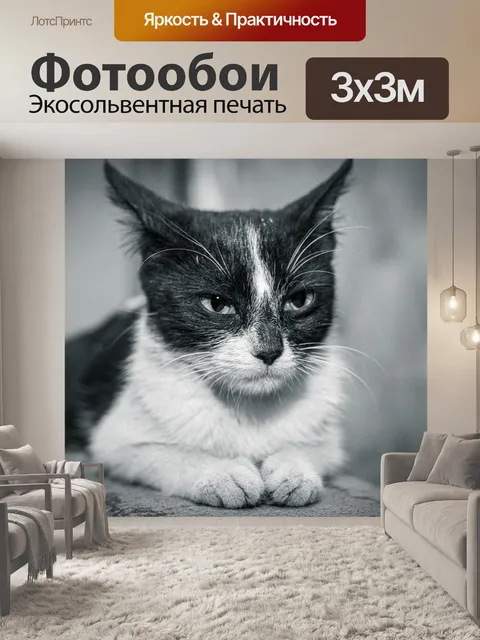 Фотообои Дикая природа