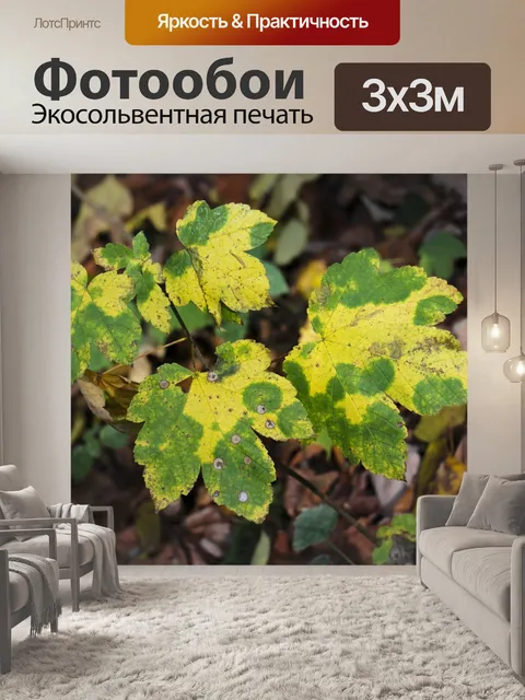 Фотообои Листья