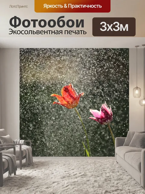 Фотообои Тюльпан