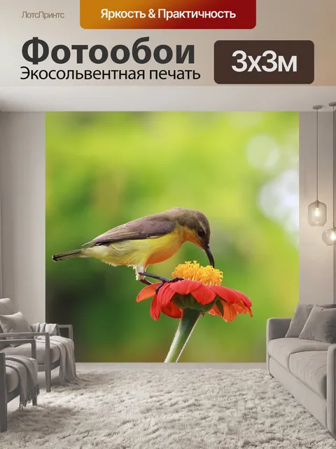 Фотообои Птица