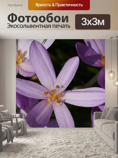 Фотообои Природа