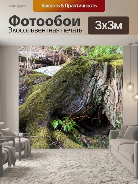Фотообои Лес