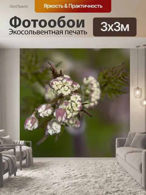 Фотообои Цветы