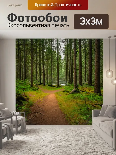 Фотообои лес с удалёнными тропами, ведущими к скрытым озёрам