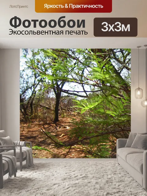 Фотообои тонкие сложные листья ветки