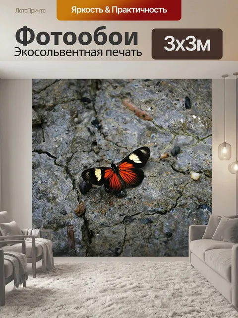 Фотообои Бабочка