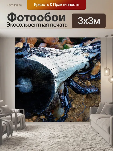 Фотообои Древесина