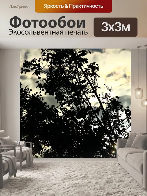 Фотообои Тень
