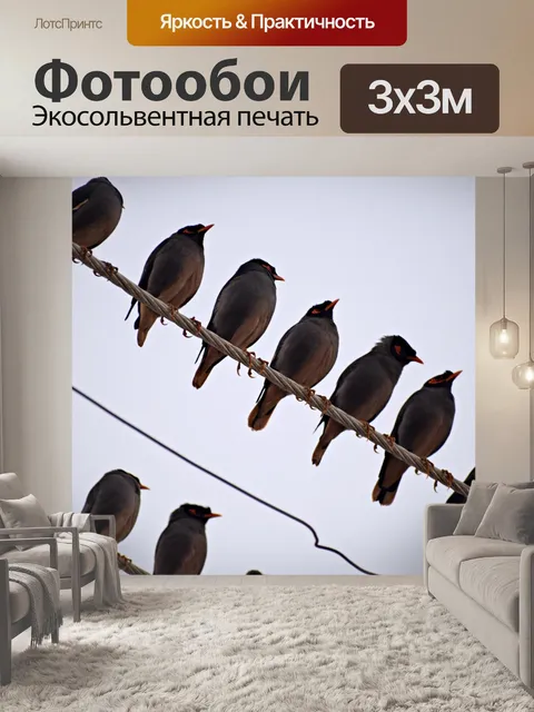 Фотообои Стадо