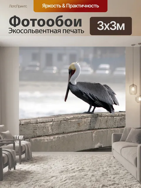 Фотообои Сидящий Pelican
