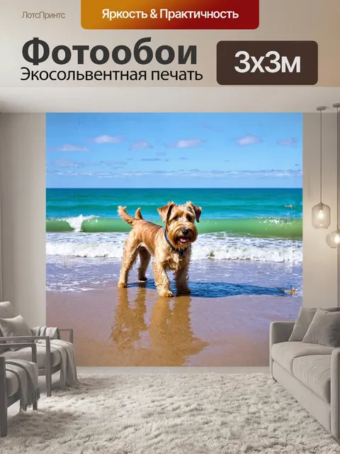 Фотообои ирландский мягкошерстный пшеничный терьер, играющий у моря на берегу, где волны нежно омывают песок