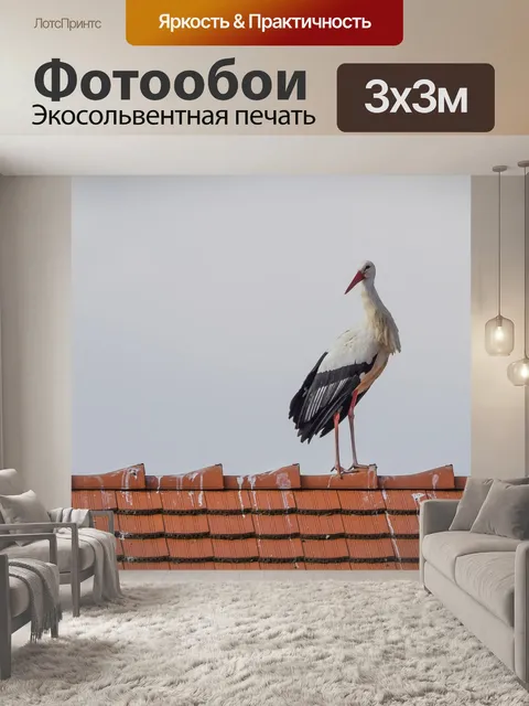 Фотообои Аист