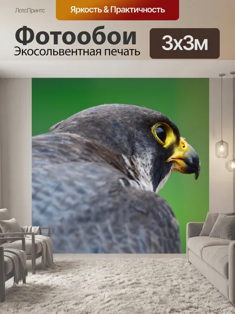 Фотообои Птица
