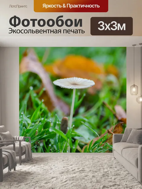 Фотообои гриб в траве