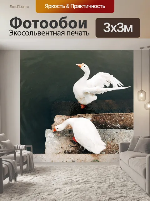 Фотообои Птица
